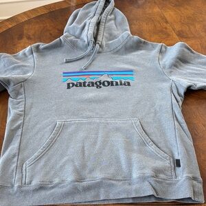 Patagonia Blue and Purple Logo Gray Hoodie